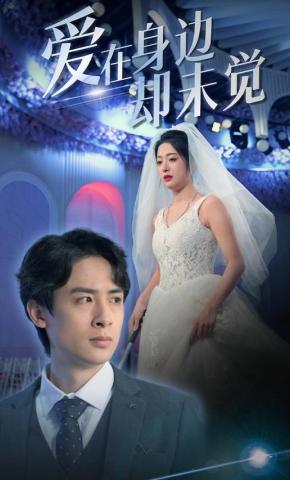 短剧爱在身边却未觉海报