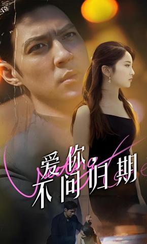 短剧《爱你不问归期》海报