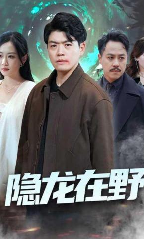 短剧隐龙在野海报