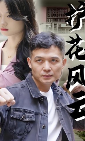 短剧护花风云海报