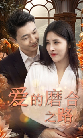 短剧爱的磨合之路海报