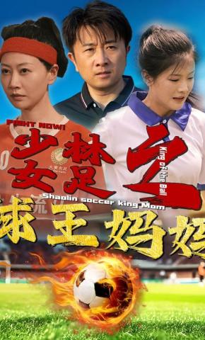短剧少林女足之球王妈妈海报