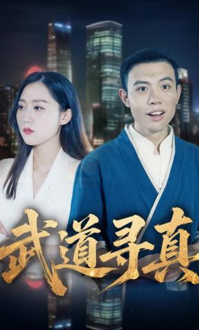 短剧武道寻真海报