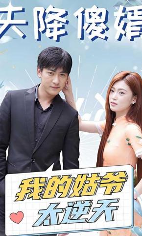 短剧天降傻婿：我的姑爷太逆天海报