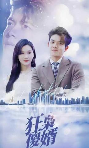 短剧《狂枭傻婿》海报