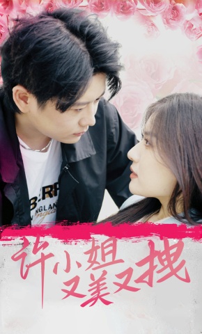 短剧许小姐又美又拽海报