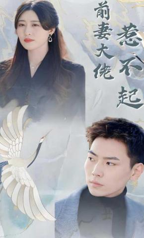 短剧前妻大佬惹不起海报