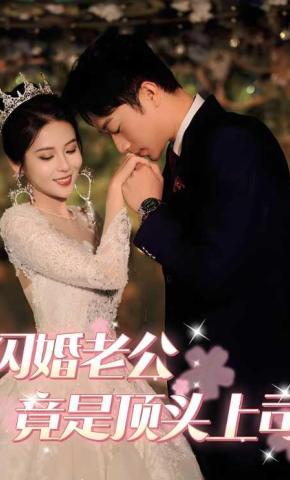 短剧《闪婚老公竟是顶头上司》海报