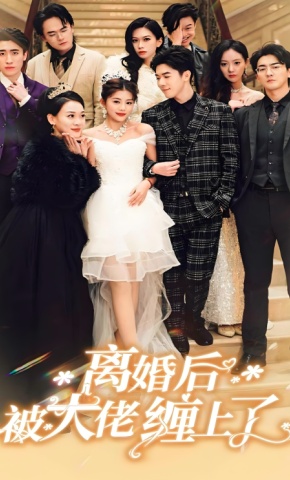 短剧离婚后被大佬缠上了海报