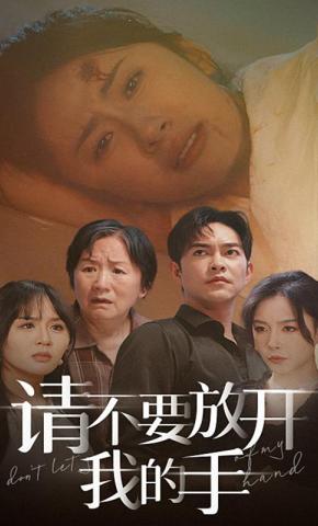 短剧请不要放开我的手海报