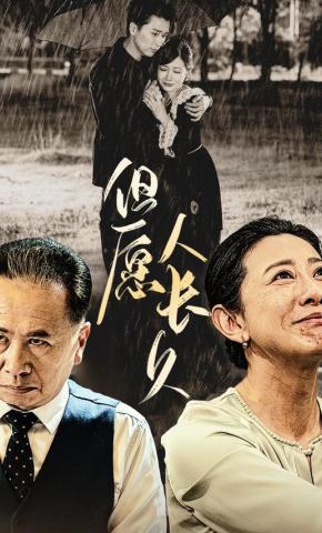 短剧但愿人长久海报