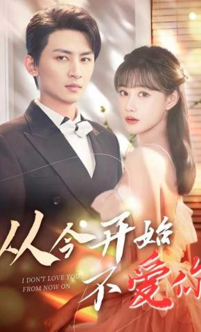 短剧《从今开始不爱你》海报