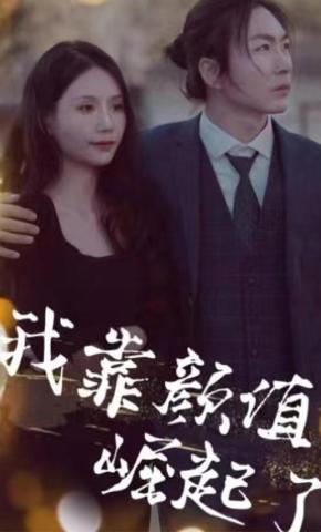 短剧我靠颜值崛起了海报