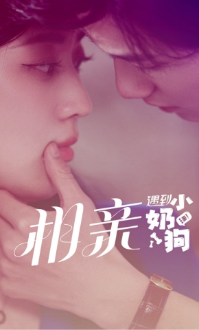 短剧相亲遇到小奶狗海报