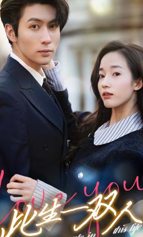 短剧此生一双人海报