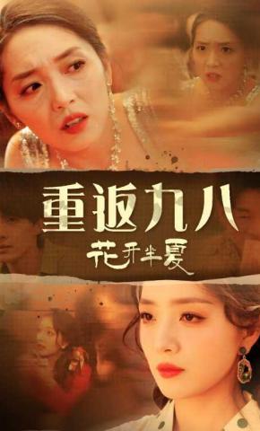 短剧重返九八花开半夏海报