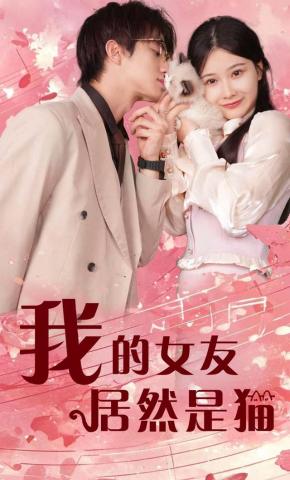 短剧《我的女友居然是猫》海报