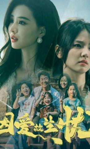 短剧因爱故生忧海报