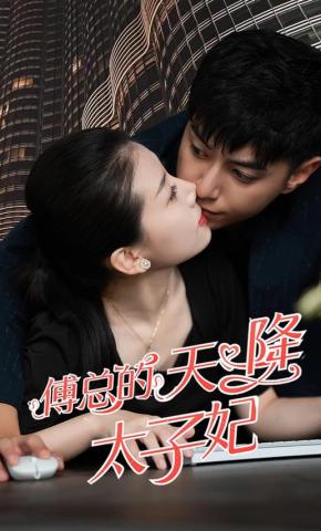 短剧傅总的天降太子妃海报