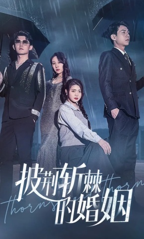 短剧披荆斩棘的婚姻海报