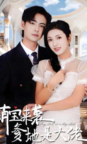 短剧萌宝来袭，爹地是大佬海报