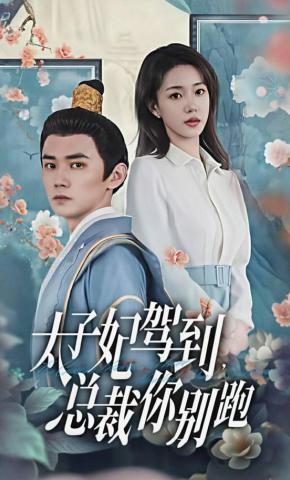 短剧太子妃驾到，总裁你别跑海报