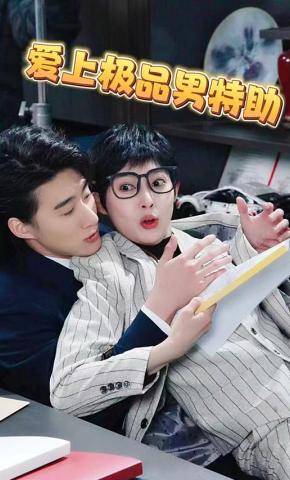 短剧《爱上极品男特助》海报