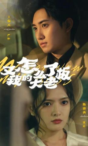 短剧又怎么了我的大老板海报