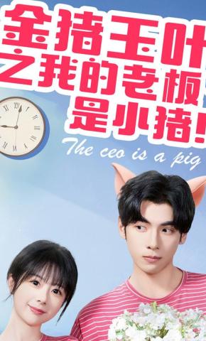 短剧金猪玉叶之我的老板是小猪海报