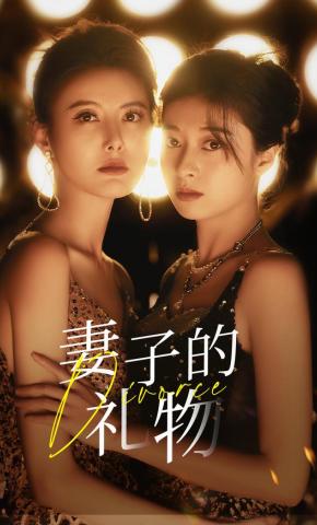 短剧妻子的礼物海报