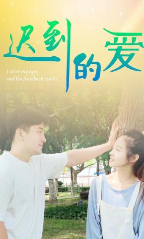 短剧迟到的爱海报