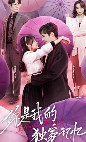 短剧你是我的独家记忆海报