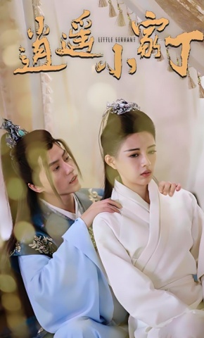 短剧《逍遥小家丁》海报