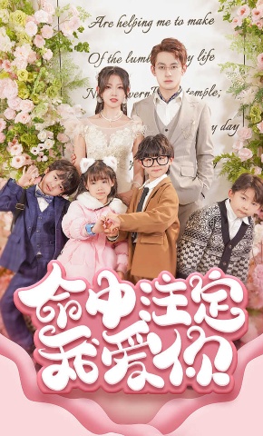 短剧命中注定我爱你海报