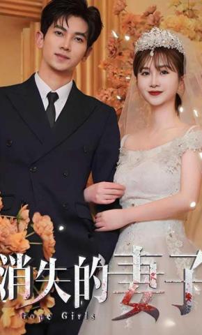 短剧消失的妻子海报