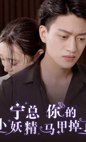 短剧《宁总你的小妖精马甲掉了》海报