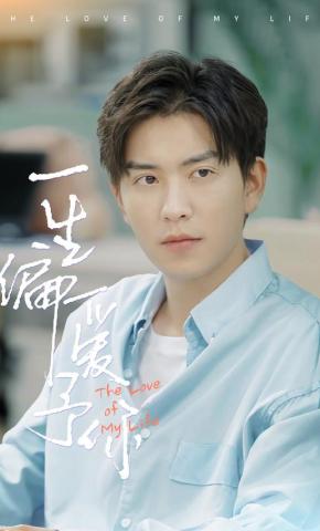 短剧一生偏爱予你海报