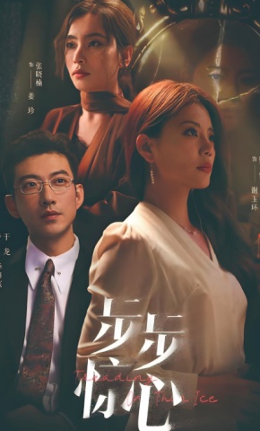 短剧《步步惊心》海报