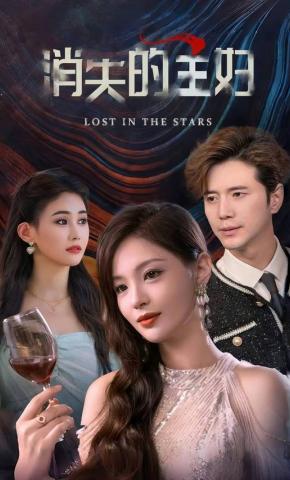 短剧消失的主妇海报