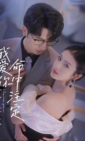 短剧《我爱你命中注定》海报