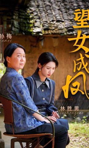 短剧《望女成凤》海报