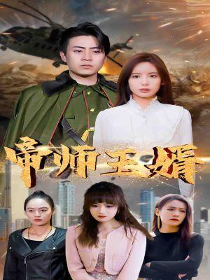 短剧帝师王婿海报