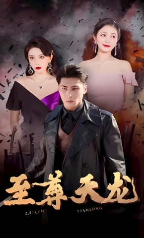 短剧《至尊天龙》海报