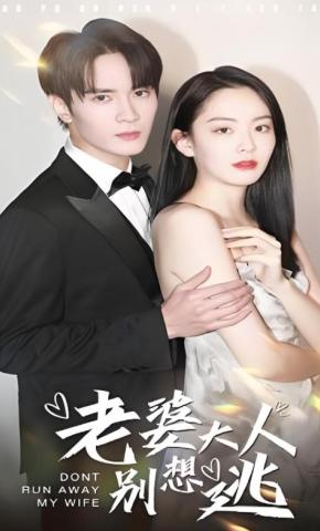 短剧《老婆大人别想逃》海报