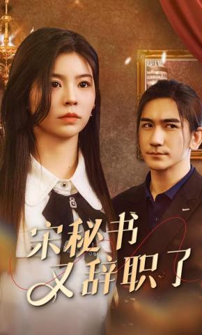 短剧宋秘书又辞职了海报