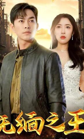 短剧无缅之王海报