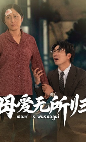 短剧《母爱无所归》海报