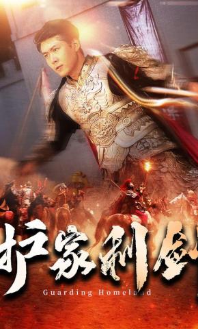 短剧护家利剑海报