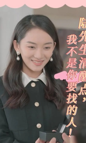 短剧陆先生清醒点，我不是你要找的人！海报