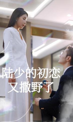 短剧陆少的初恋又撒野了海报